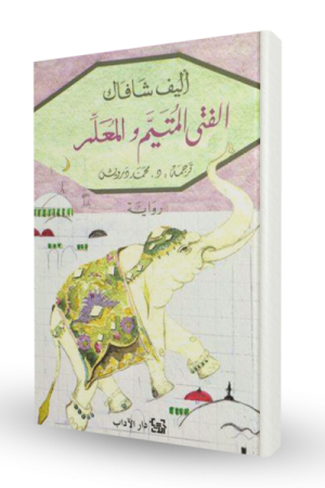 الفتى المتيم و المعلم