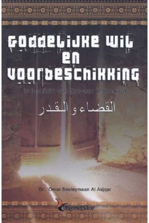 Goddelijke wil en voorbeschikking