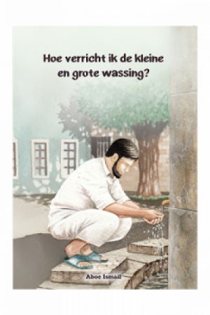 Hoe verricht ik de kleine en grote wassing